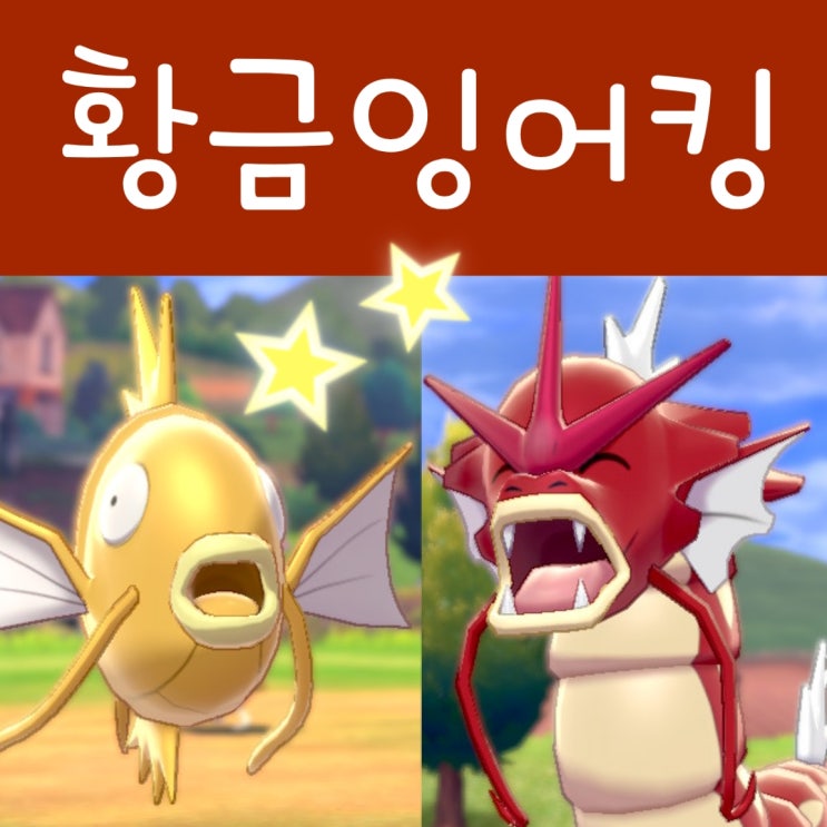  첫 미로치 포켓몬 잡아요! 이로치 잉어킹 레이드