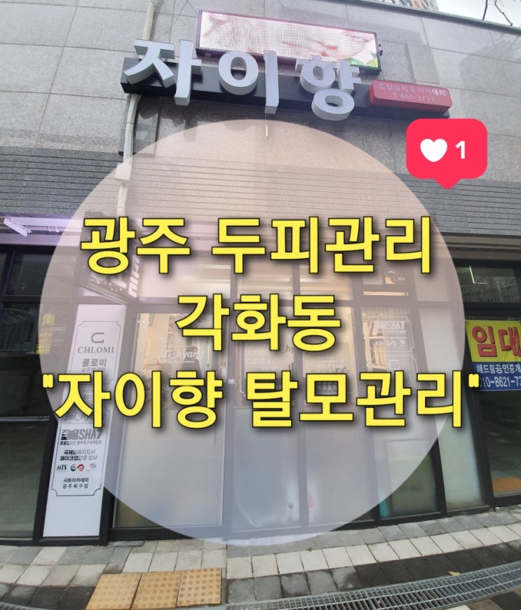  광주 두피관리 각화동 "자이향 탈모관리" (광주탈모관리 잘하는 곳)