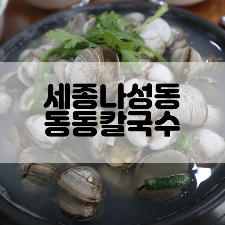  (세종나성동맛집) 물총이 들어간 칼국수맛집 동동칼국수