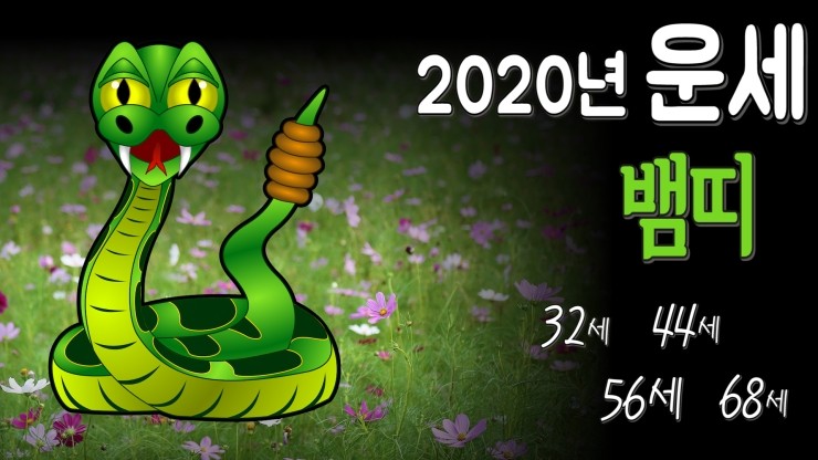 2020년 무료신년운세 뱀띠 