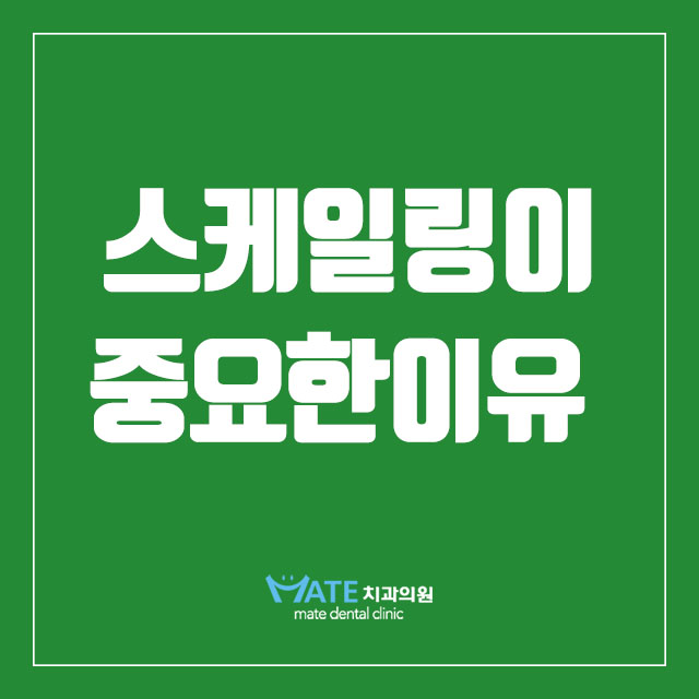  스케일링이 중요한 이유 여기 있어요~