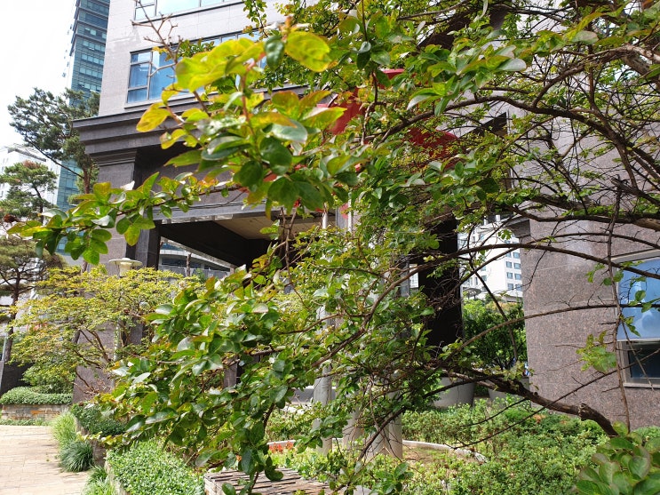  팔꿈치 엘보 통증 골프 테니스 엘보의 치료