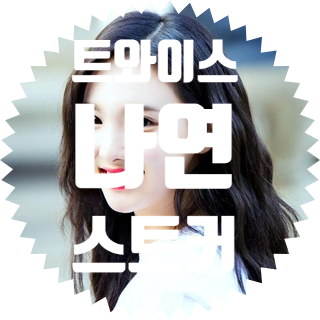  트와이스 나연 스토커 비행기 논란
