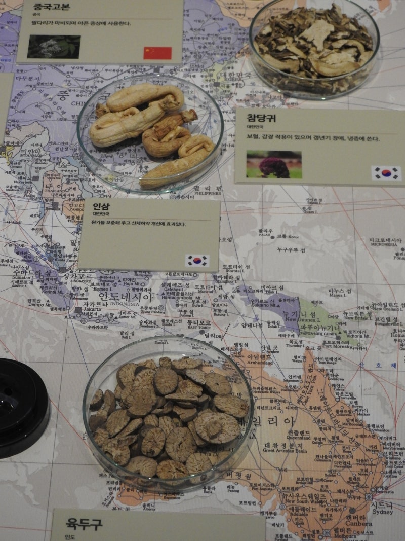 허준박물관의 세계의약초 특별전 #페이지 #허준박물관 : 네이버 블로그, image size:800x1067