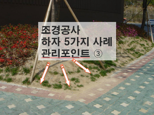 조경공사 하자 유형 5가지 사례 및 관리 포인트 ③ 조경공사 하자 유형 5가지 사례 및 관리 포인트 ③