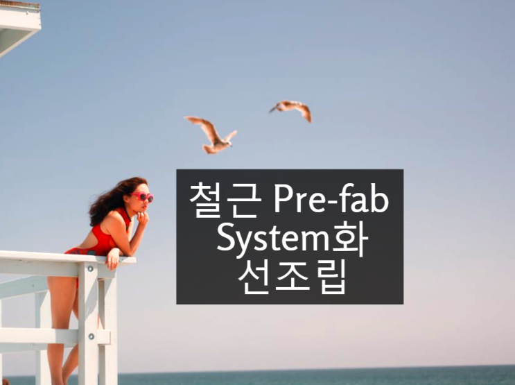 철근 Pre-fab (성력화, System, 선조립) 철근 Pre-fab (성력화, System, 선조립)