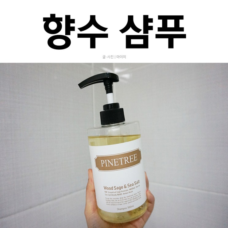  향수샴푸 파인트리샴푸 조말론이랑 진짜 똑같아요