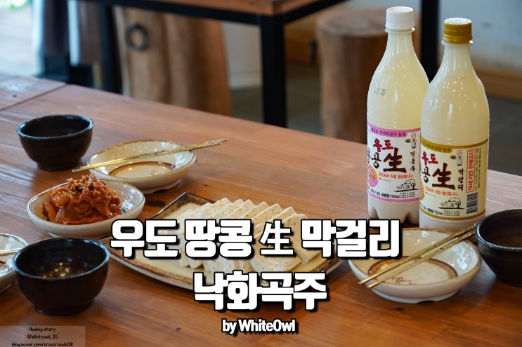  낙화곡주에서 마시는 우도땅콩막걸리