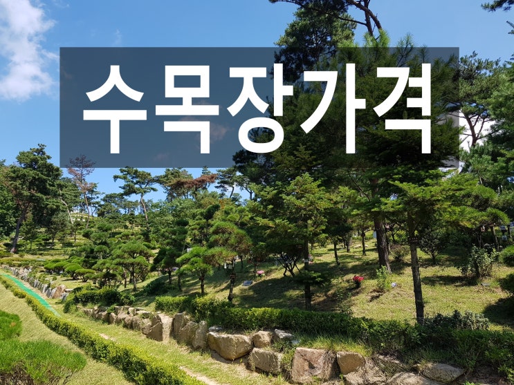  수목장가격에 대해 궁금한 것이 있나요?