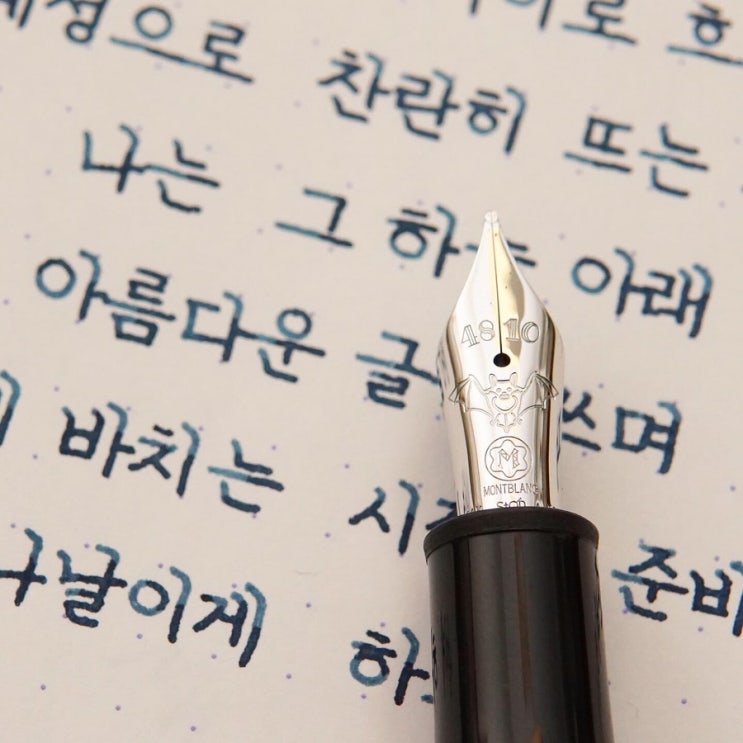  당신에게 바치는 시집을 준비하는... (몽블랑 요한스트라우스 m닙)