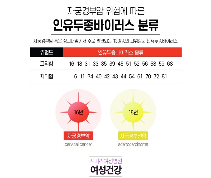 답십리 산부인과 여의사에게 인유두종바이러스(HPV) 검사/치료가 필요한가? 6