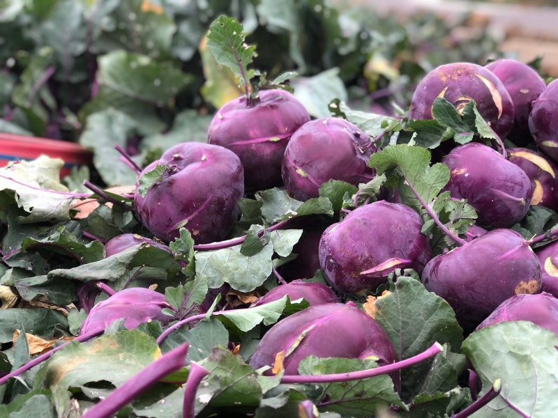 반포농원 제주 알 줄기 양배추는 칼로리가 낮고 식이섬유가 풍부하여 4