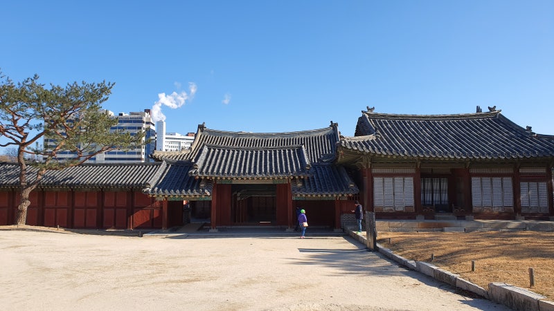조선 5대 궁궐 창경궁 답사 (2019.12.31) : 네이버 블로그