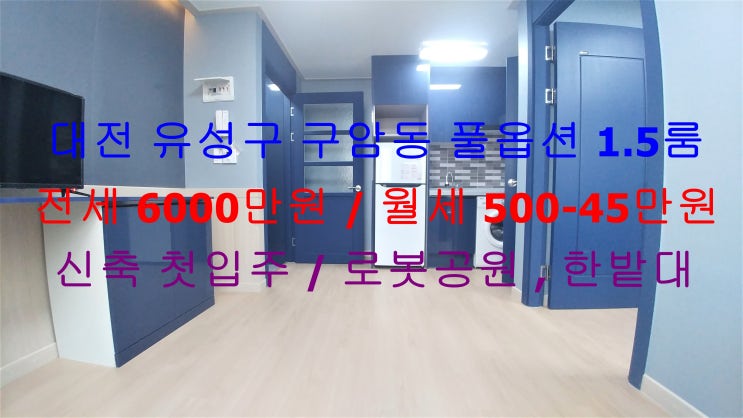  대전 유성구 구암동 로봇공원 , 한밭대 인근에 있는 신축 첫입주 풀옵션 1.5룸 (투룸식 원룸) 전세, 월세 모두 가능한 매물입니다 ~ ^^