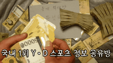 샤바즈 네이피어 히트