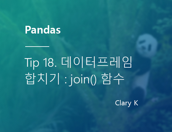 [파이썬] 판다스(pandas) 팁18. 데이터프레임 합치기 : join() 함수