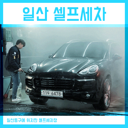  일산셀프세차장 24시 실내세차장 다녀왔습니다.