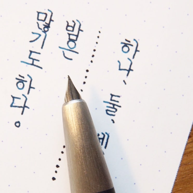 밤은 많기도 하다 (라미 2000 마크롤론 ef닙)