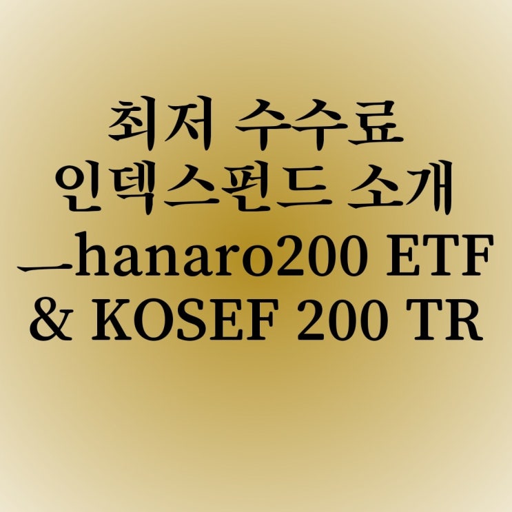 [etf]최저수수료 국내 인덱스펀드 ETF 소개 Hanaro 200과 KOSEF200TR