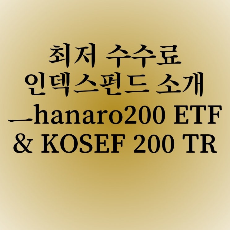 [etf]최저수수료 국내 인덱스펀드 ETF 소개 Hanaro 200과 KOSEF200TR