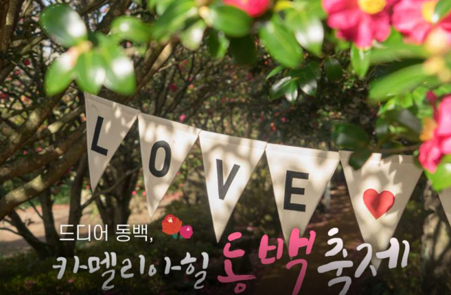  2020년 최저가 내일배송   카멜리아힐 제주특별자치도 서귀포시 안덕면 병악로 166    [6,500원]