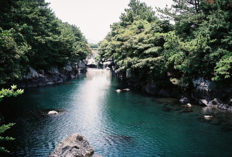  제주도 한 달 살기, 어디서 머물지 아직도 고민 중이세요?