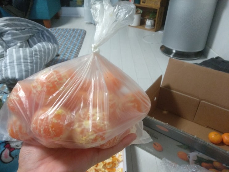 귤아이스크림 만들기 ㅡ 처치곤란 귤들 없에버리기 귤아이스크림 만들기 ㅡ 처치곤란 귤들 없에버리기