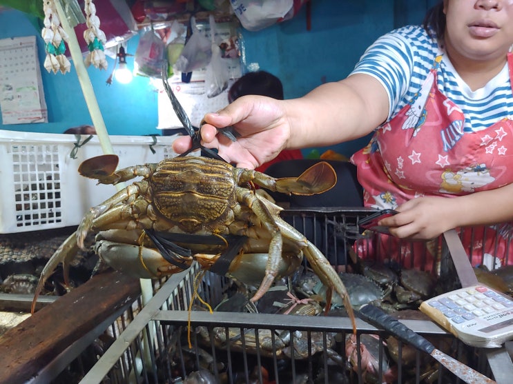 [마닐라여행] 마닐라 담파 수산시장/해산물 식당 -마닐라VIP전문투어 오카다투어