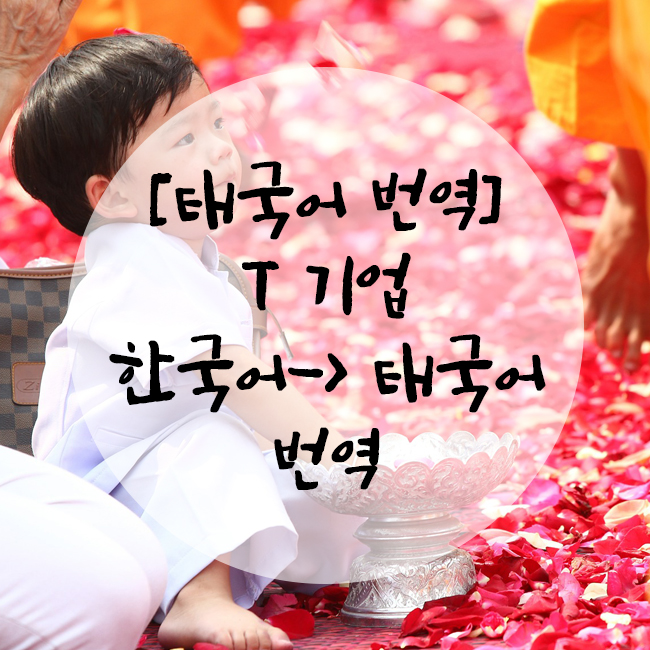  [태국어 번역] T사 관련 안내서 관련 태국어 -> 한국어 번역 후기