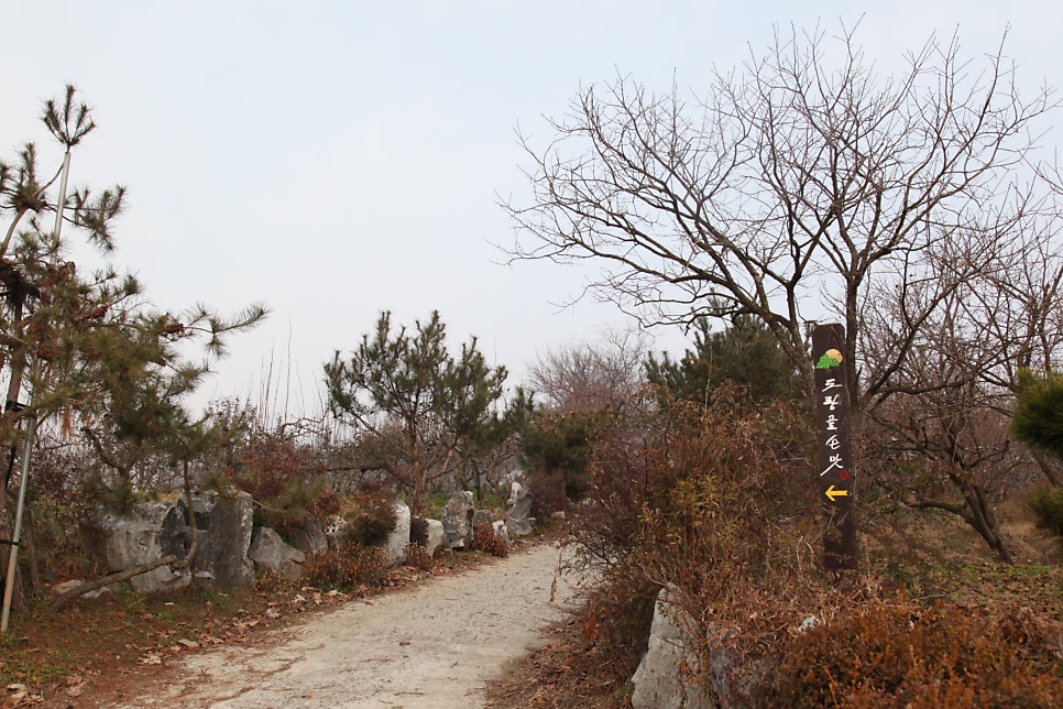 도랑골손맛 사진 1