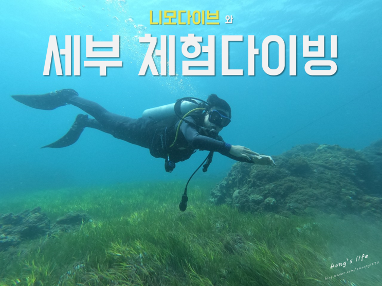  세부체험다이빙 강사전문양성 입소문난 세부다이빙샵에서 첫 도전기!