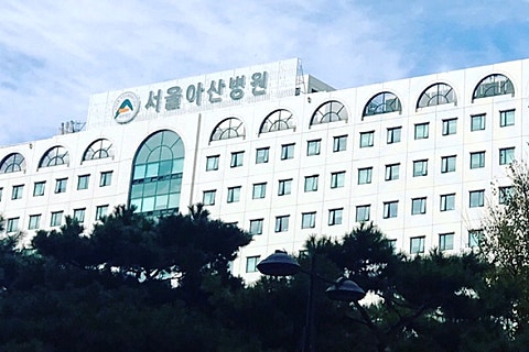 비메이저 이미지