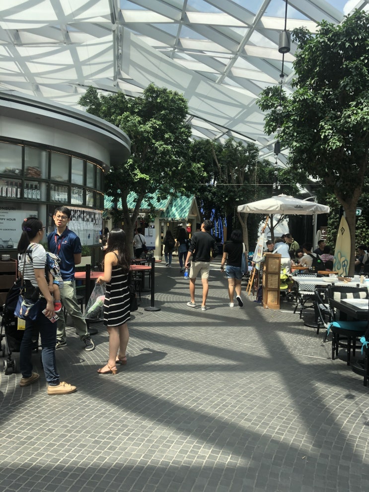  [싱가포르 창이 주얼 데이트] 점심은 버거 앤 랍스터! 후식은 버드 오브 파라다이스! 저녁은 송파바쿠테! 마지막으로는 주얼 쇼 보기!