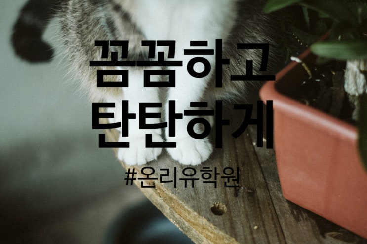  [김포 한강신도시 운양동 초등전문 온리유 학원] 올해 1학기 대비 탄탄히 하세요! 꼼꼼하고 탄탄하게 빠짐없이 가르치겠습니다.
