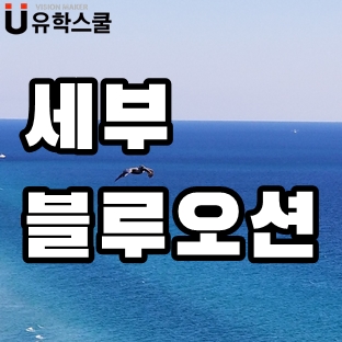  서른 이상 늦깎이 연수생을 위한 세부블루오션 ?