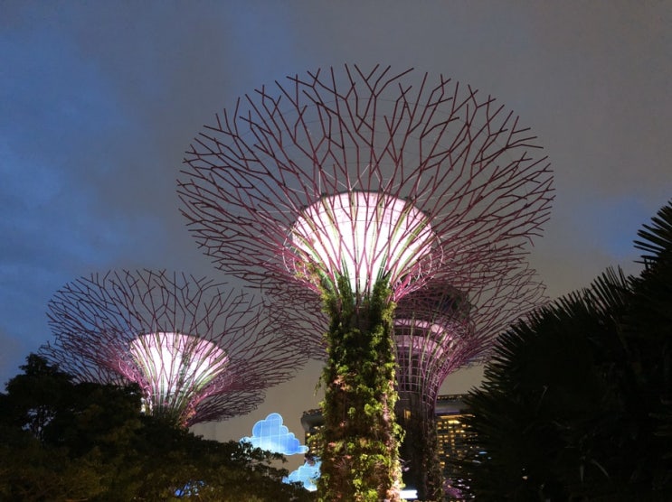 바밍아빠 싱가포르 여행기 #1 싱가폴항공, 멀라이언파크, TOAST BOX, 클락키 점보씨푸드, 가든스바이더베이