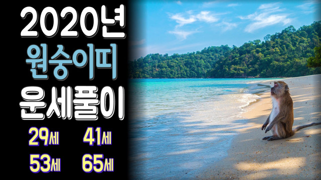  2020년 원숭이띠 신년운세(56년생,68년생,80년생,92년생)경자년 수지유명한점집 장대원사 해룡신당
