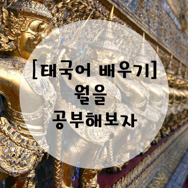  [태국어공부] 태국어로 오늘은 며칠이야? 공부하기 (태국어 월)