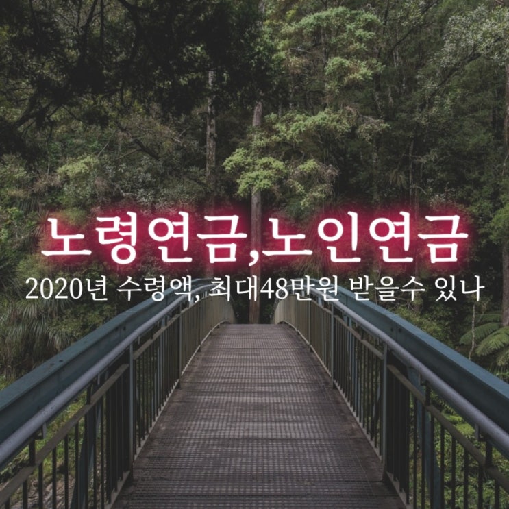  2020년 노령연금, 노인연금 최대 48만원까지 오른다.받을수 있는사람도 많아져~