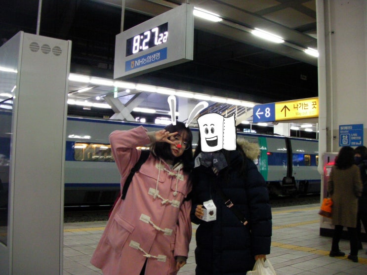  [코레일 여행] 서해 금빛 열차를 타다