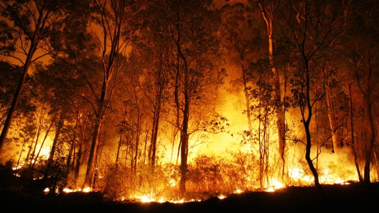 호주 멜버른 자유여행 - 빅토리아주 산불 재난사태 선포 (코드 레드)
