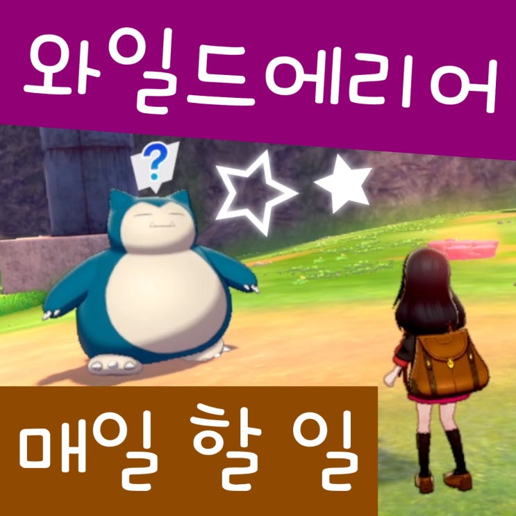 포켓몬스터 소드 실드 와일드에리어 날씨 굴, 매일 할 일 공략