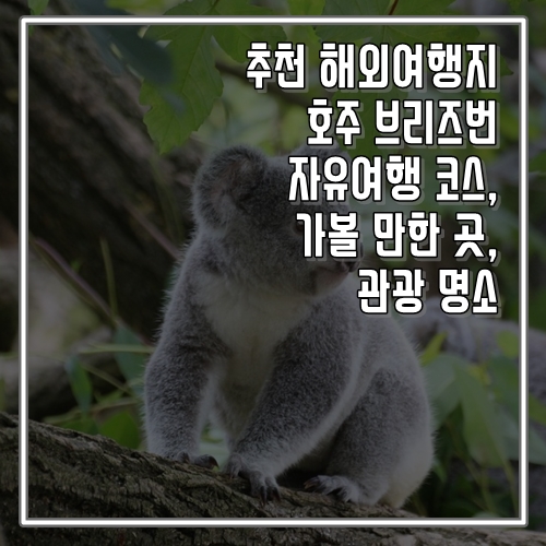 추천 해외여행지 호주 브리즈번 자유여행 코스, 가볼 만한 곳, 명소