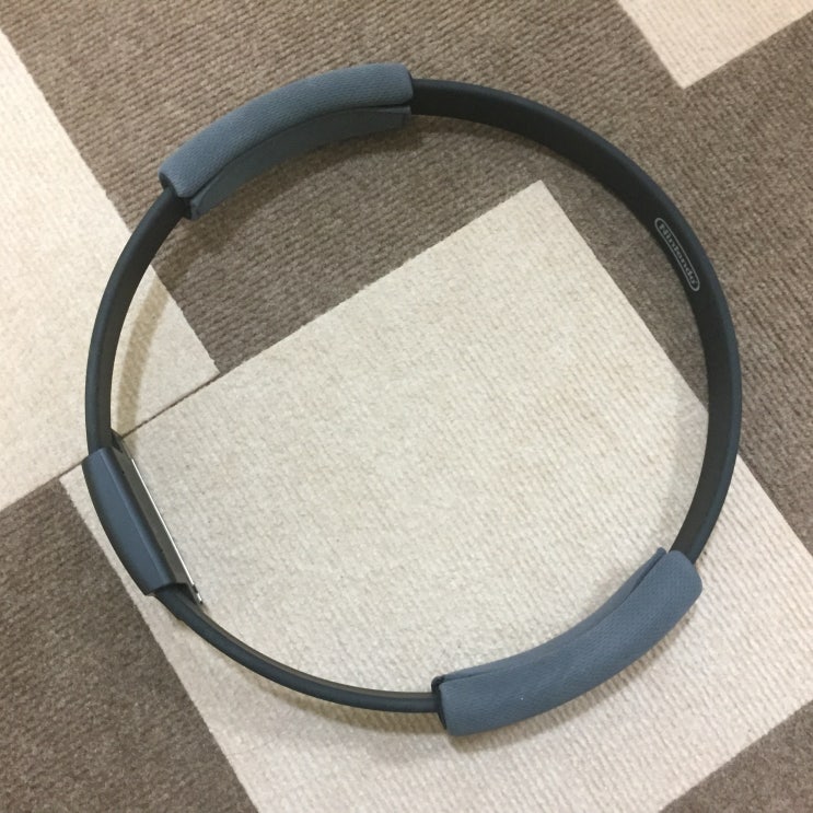  새해목표 : 20kg 감량! 2일째 사투