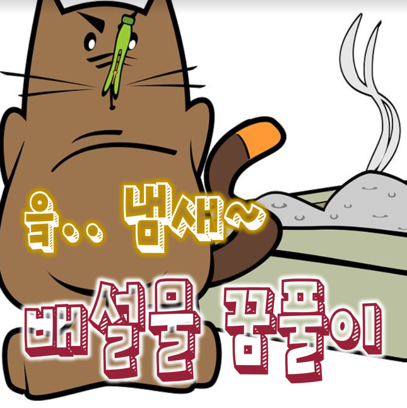 (똥 꿈해몽) 배설물 변기 화장실 꿈