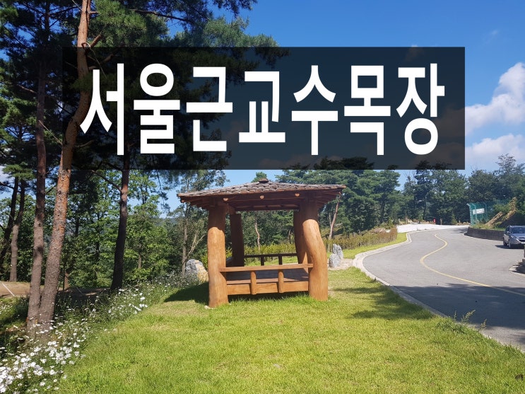  서울근교 수목장을 찾고 계신가요? 이것만은 알고 알아보세요.