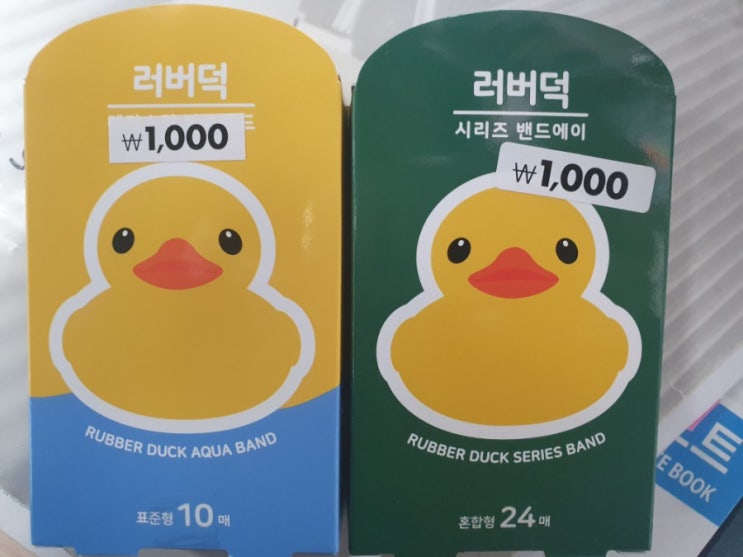  귀욤 밴드 러버더억~