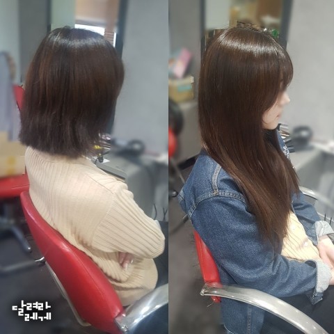  영등포붙임머리 단발붙임머리 붙임머리잘하는곳 달려라레게 머리빨리기르는법 손상모복구 붙임머리추천 구로붙임머리 목동붙임머리 신림붙임머리
