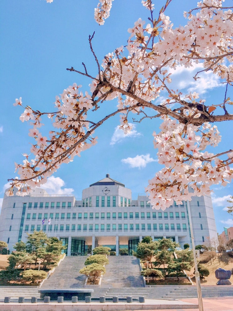  봄이 온 단대