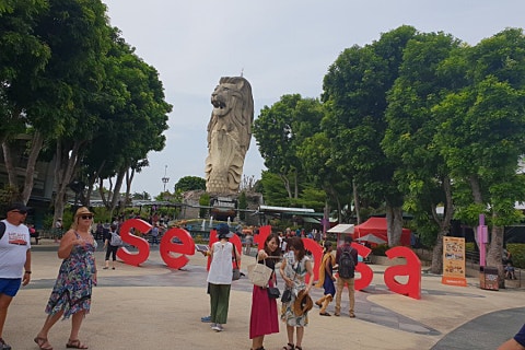 바이더카 이미지